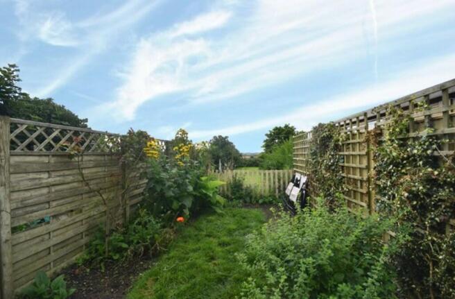 Garden 1