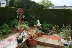 Photo 16