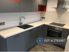 Contemporary Kitchen