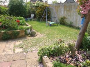 Rear Garden (3)