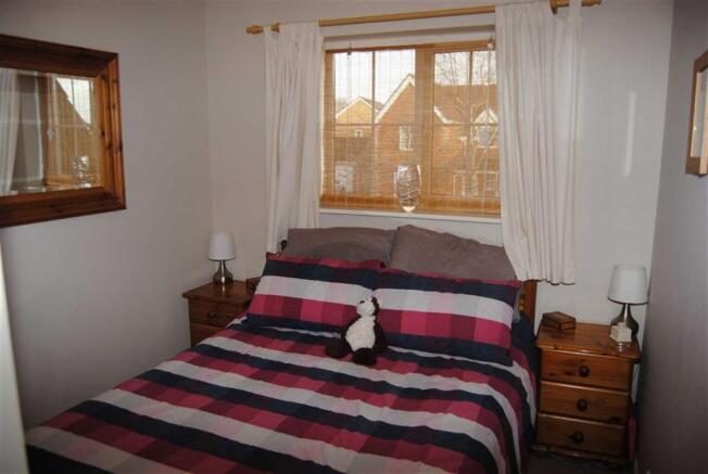 Photo 11