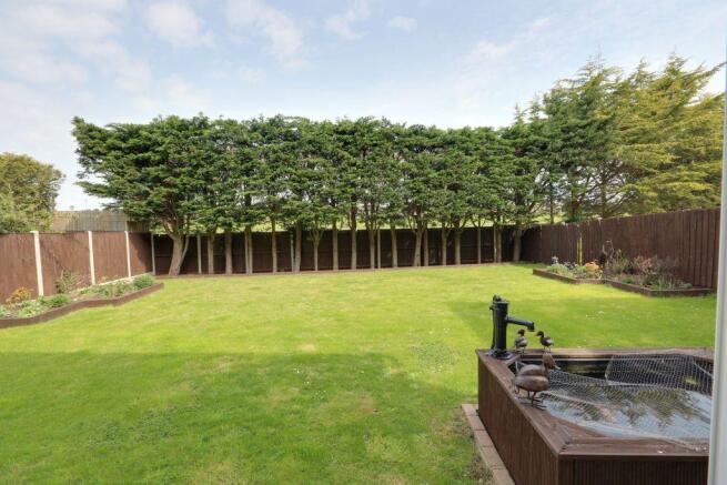 Garden at Back