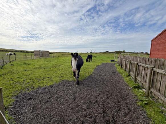 Hideaway Cottage, Meikle Mark, Stranraer, DG9 8HX photo 4