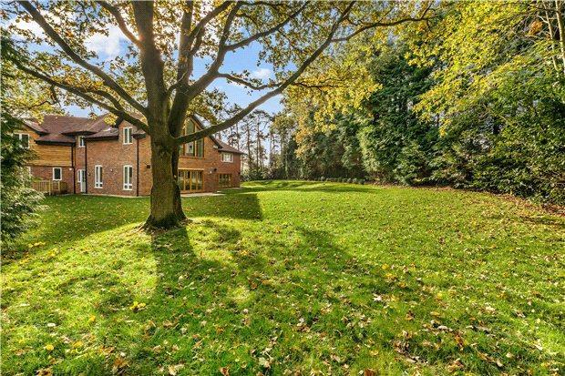 Rear Lawn