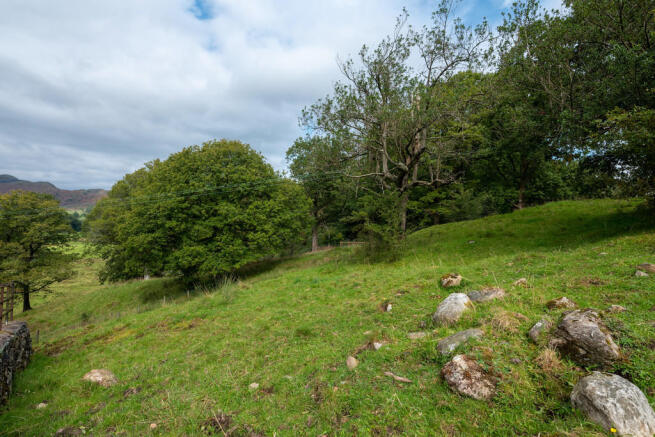 Land and View
