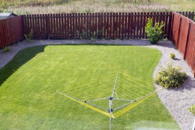 Garden 2