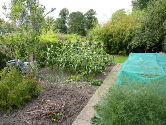 GARDEN