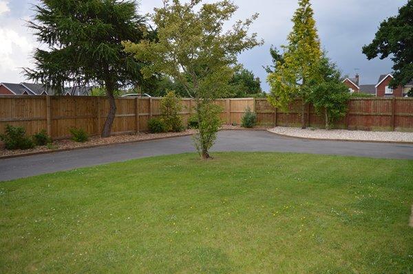 front garden