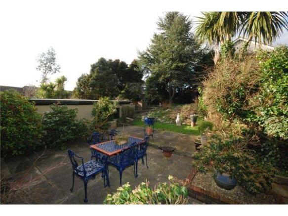 Patio Area