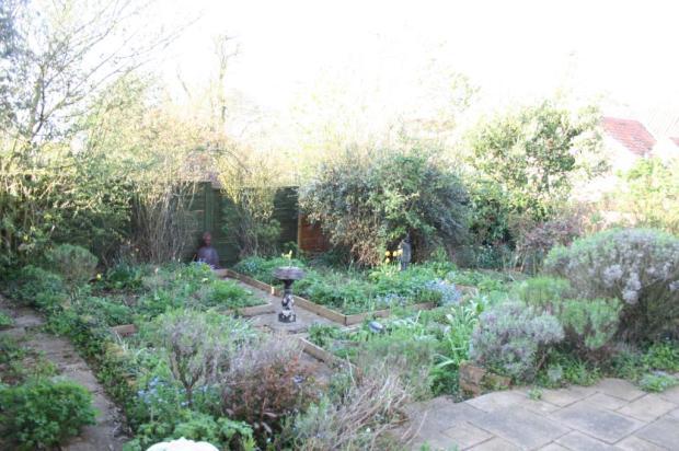 Gdn3