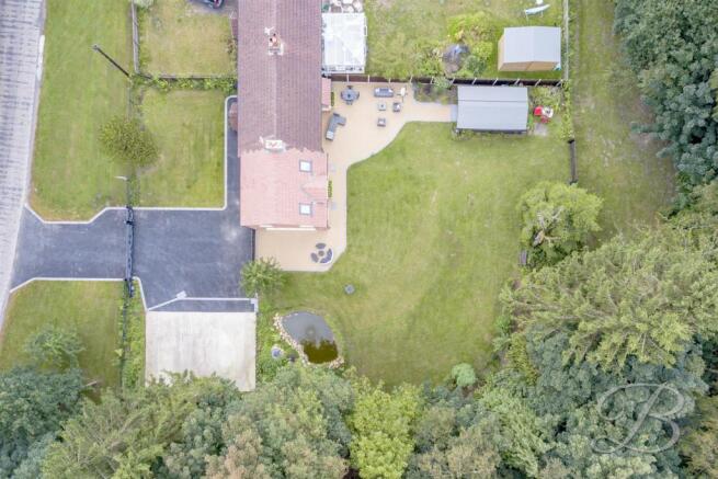 DJI_0059.jpg