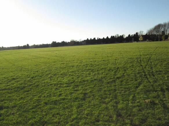 Local field 