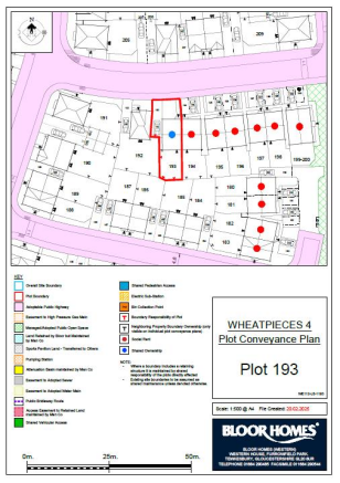 Site Plan.png