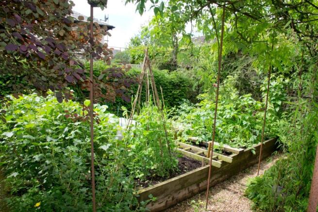 Vegetable garden