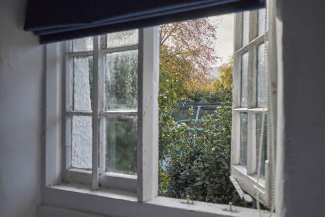 Window