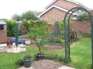 Rear garden