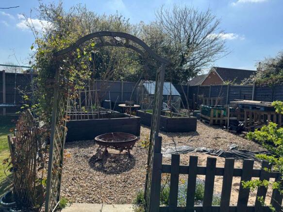 Vegetable Plot