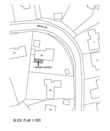 Site plan - Proposed Extension.JPG