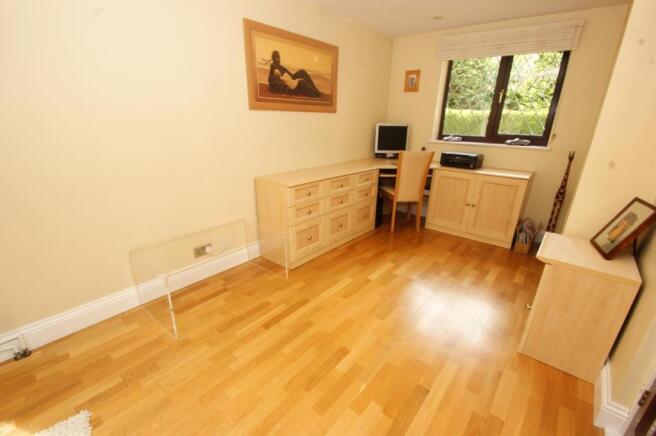 Study/Family Room