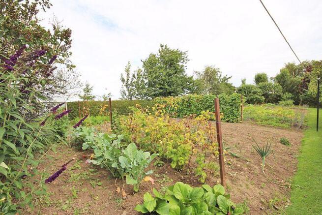 Growing area 