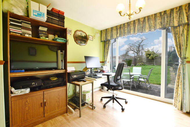 Study Area