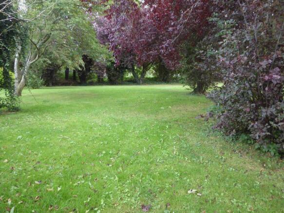 Photo 28
