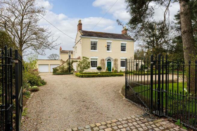beech_tree_house_1.jpg