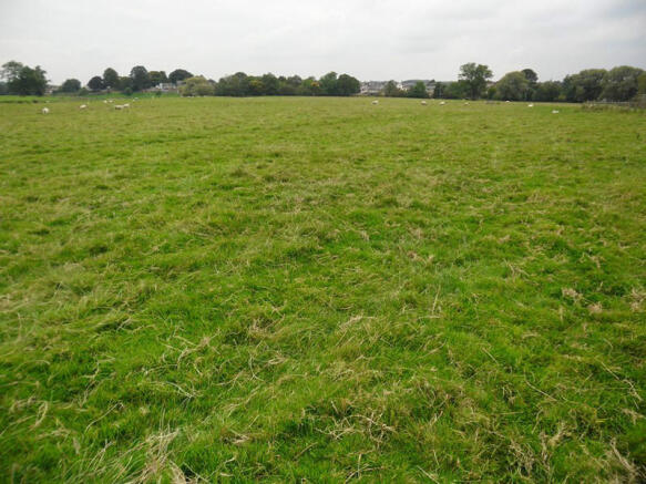 Lot 3