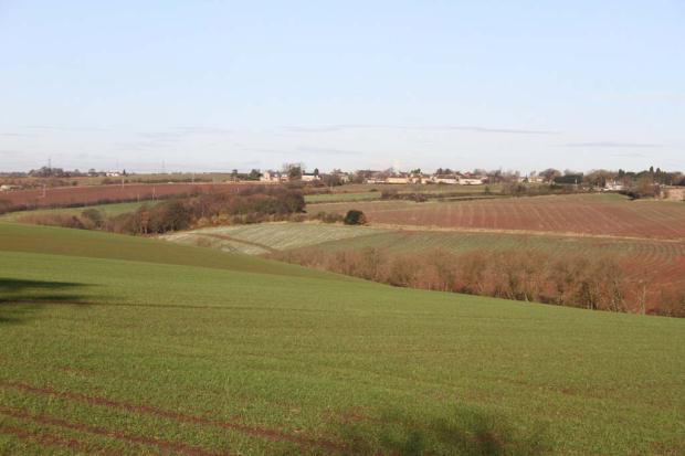 Outlook