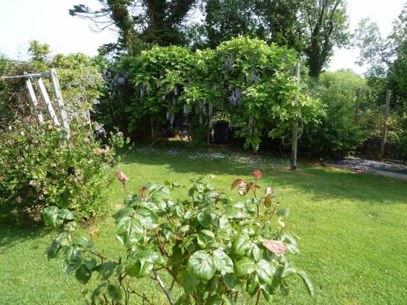 Climbing plants