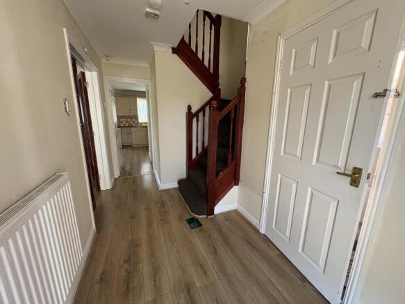 IMG 0597  Medium  T202603181404.jpg