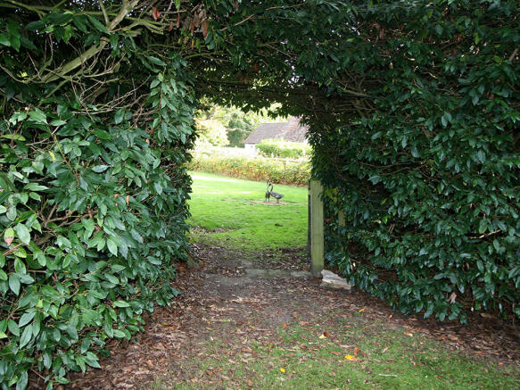 Photo 18