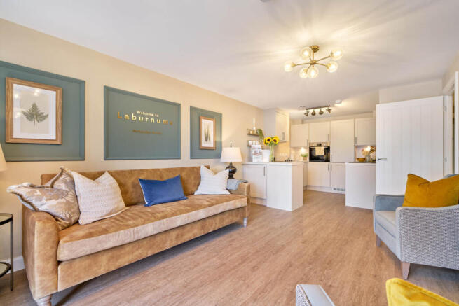 Show home living room