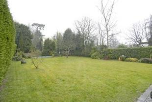 Garden Photo 1