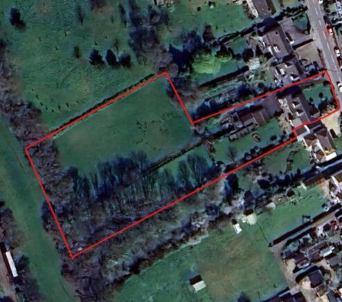 Tree Tops Plot