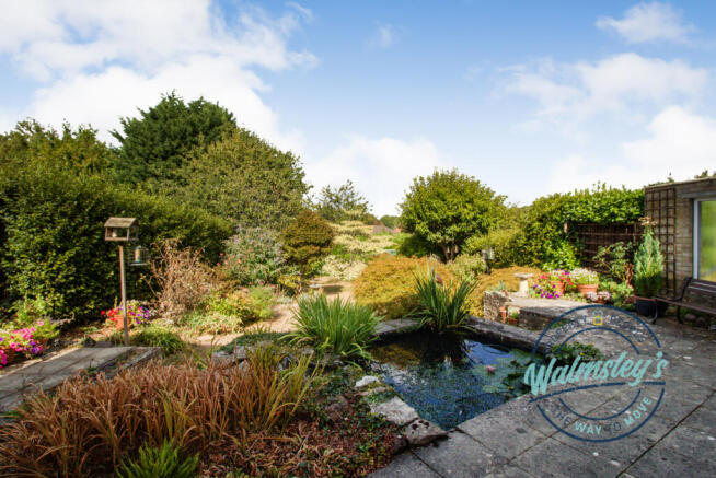 Patio & pond area