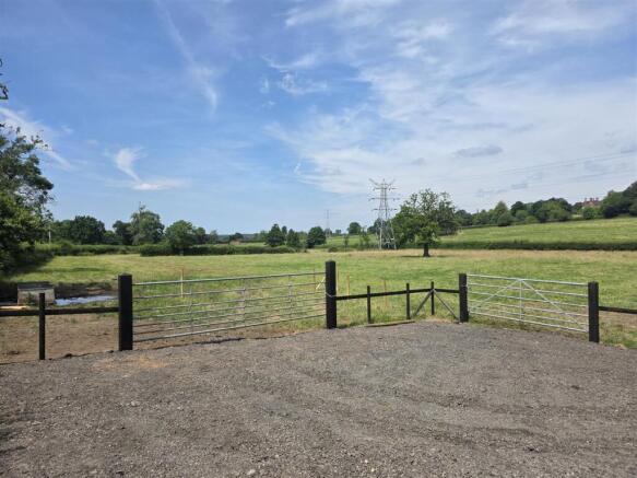 19223.jpg