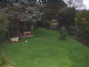 Photo 7