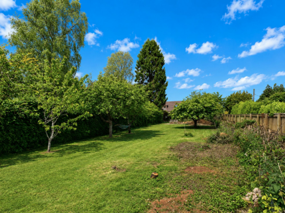 Site Image