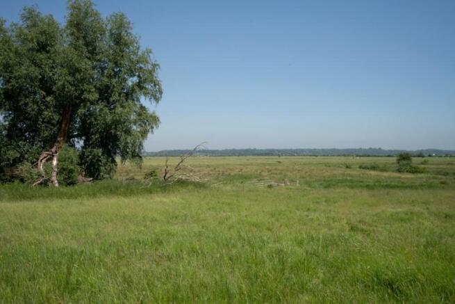 Photo 33