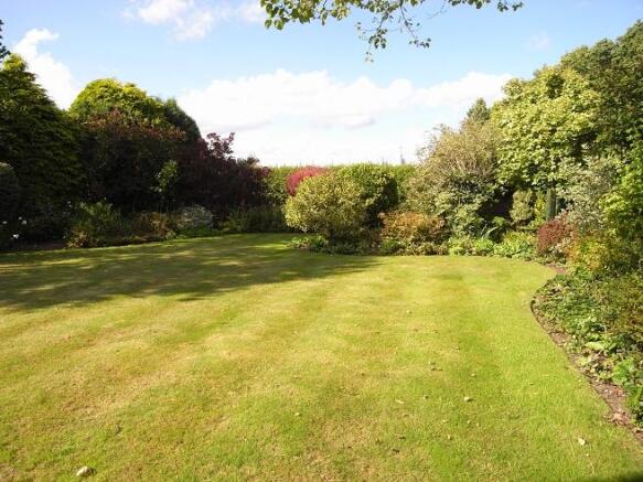 Garden in summer