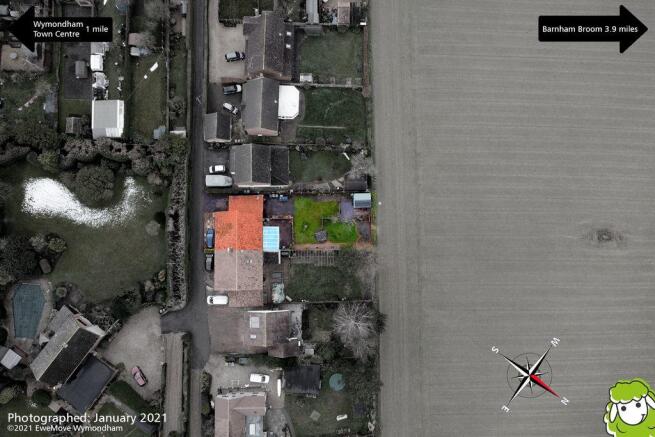 Plot View