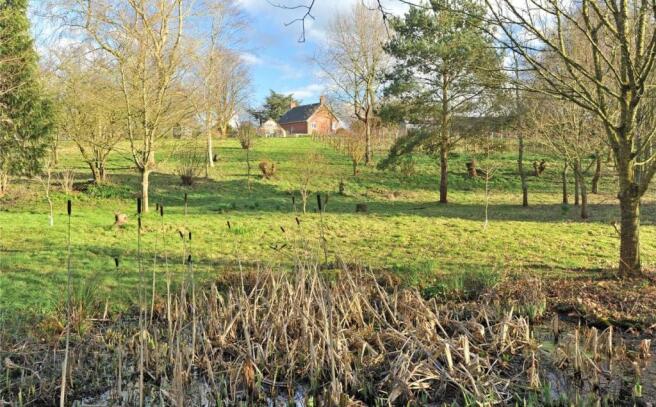 Woodland Area