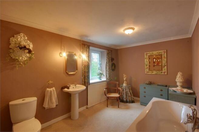 Photo 11