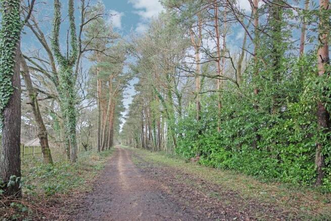 Castleman Trailway
