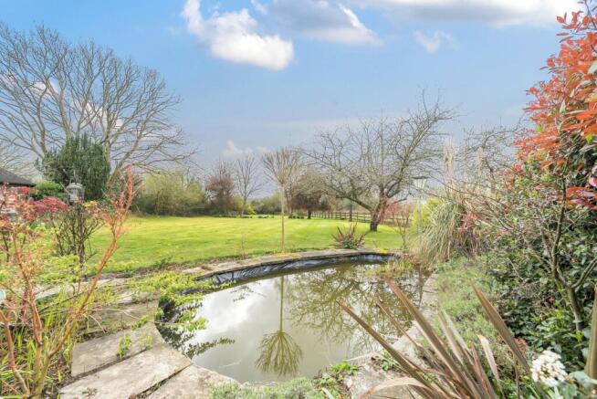 Garden Pond