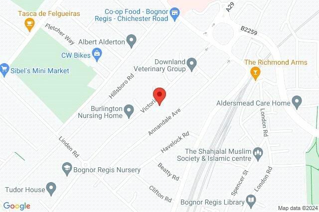 Google Maps Image