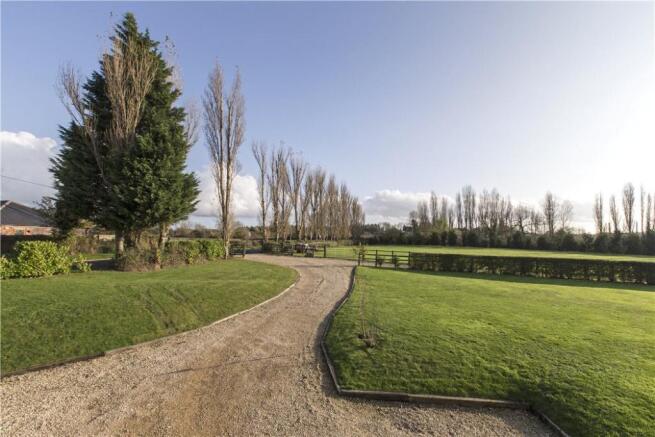Tree Lined Driveway