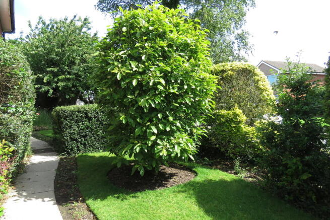Photo 6