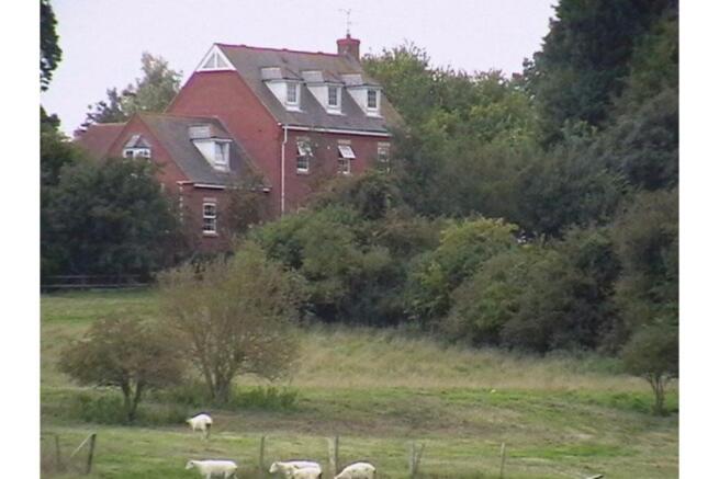 View Of The Property
